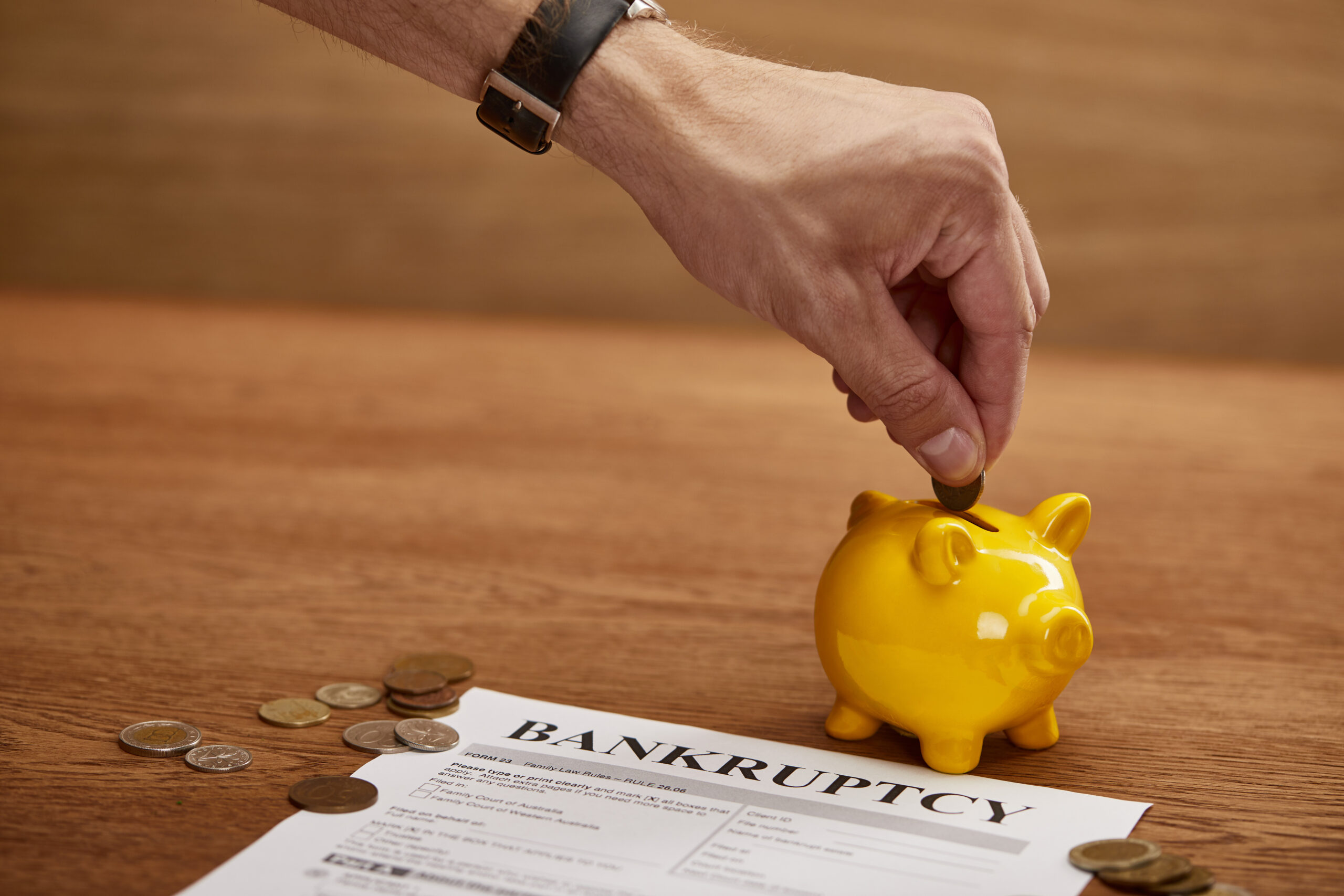 Bankruptcy Services